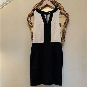 Banana Republic Black and White Sleeveless Dress Size 2